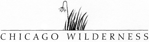 Chi Wilderness logo-sm